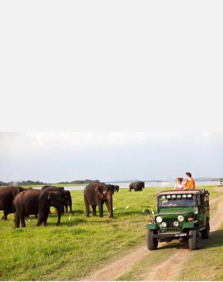Arani Homestay Polonnaruwa Dış mekan fotoğraf